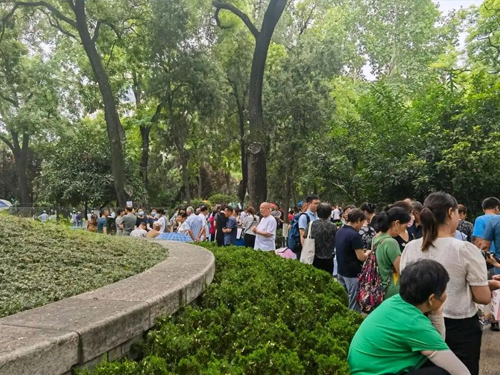 杭州相亲角